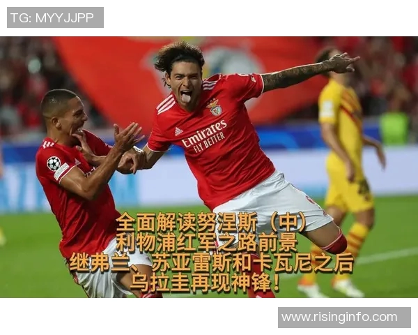 努涅斯的崛起与挑战:从新星到足坛巨星的蜕变之路